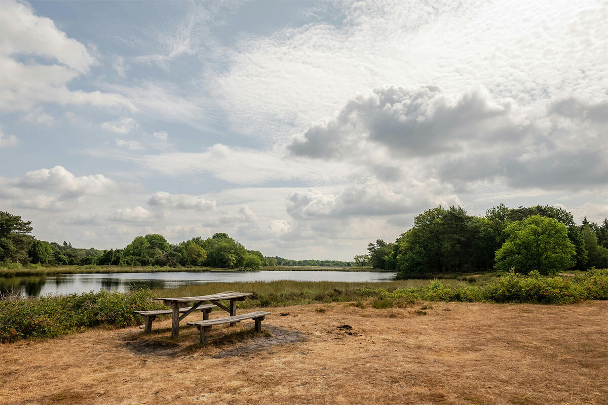 Heerlijk wandelen in Dwingeloo, Drenthe. Ontdek de vele wandel- en fietsroutes in Drenthe