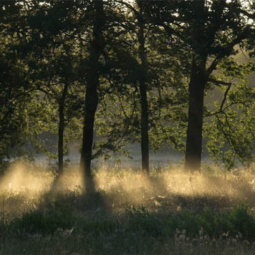 Het Drentsche Aa-landschap met kronkelende beekjes en uitgestrekte velden